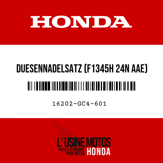 image de 16202-GC4-601 DUESENNADELSATZ (F1345H 24N AAE)