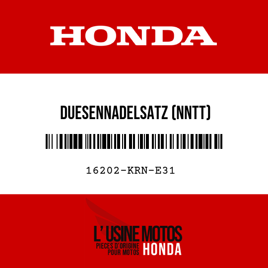 image de 16202-KRN-E31 DUESENNADELSATZ (NNTT)