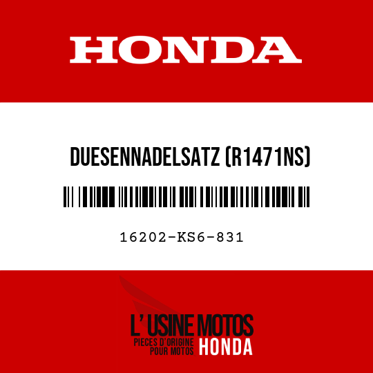 image de 16202-KS6-831 DUESENNADELSATZ (R1471NS)