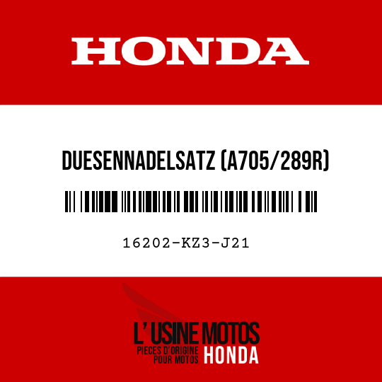 image de 16202-KZ3-J21 DUESENNADELSATZ (A705/289R)