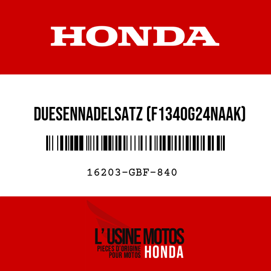image de 16203-GBF-840 DUESENNADELSATZ (F1340G24NAAK)