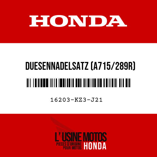 image de 16203-KZ3-J21 DUESENNADELSATZ (A715/289R)