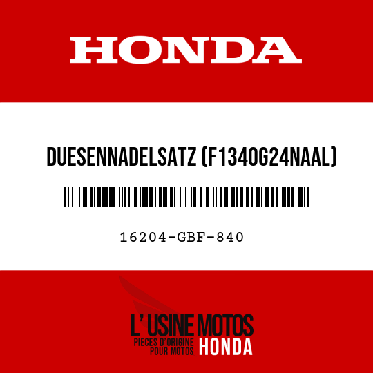 image de 16204-GBF-840 DUESENNADELSATZ (F1340G24NAAL)