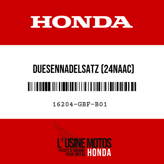 image de 16204-GBF-B01 DUESENNADELSATZ (24NAAC)