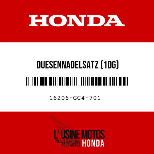 image de 16206-GC4-701 DUESENNADELSATZ (1DG)