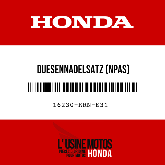 image de 16230-KRN-E31 DUESENNADELSATZ (NPAS)