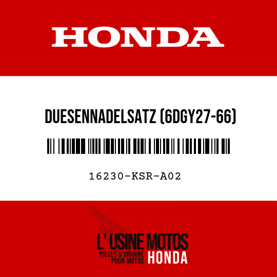 image de 16230-KSR-A02 DUESENNADELSATZ (6DGY27-66)