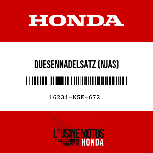 image de 16231-KSE-672 DUESENNADELSATZ (NJAS)