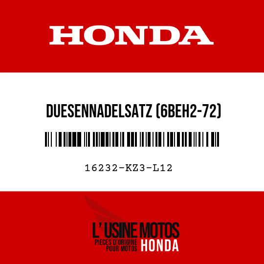 image de 16232-KZ3-L12 DUESENNADELSATZ (6BEH2-72)