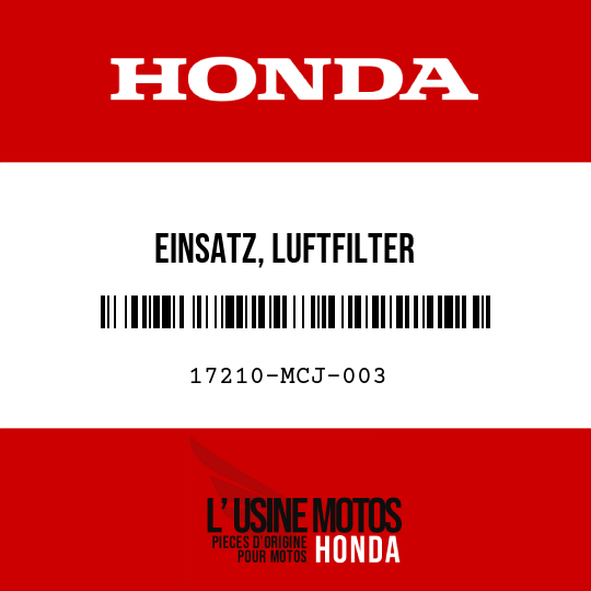 image de 17210-MCJ-003 EINSATZ, LUFTFILTER