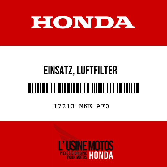 image de 17213-MKE-AF0 EINSATZ, LUFTFILTER