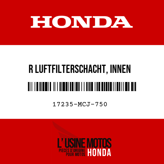 image de 17235-MCJ-750 R LUFTFILTERSCHACHT, INNEN