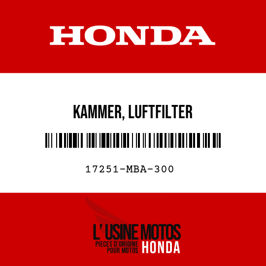 image de 17251-MBA-300 KAMMER, LUFTFILTER
