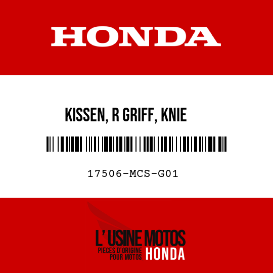 image de 17506-MCS-G01 KISSEN, R GRIFF, KNIE