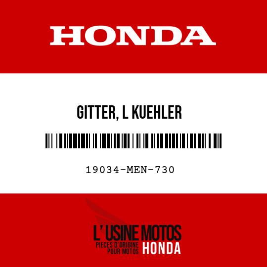 image de 19034-MEN-730 GITTER, L KUEHLER