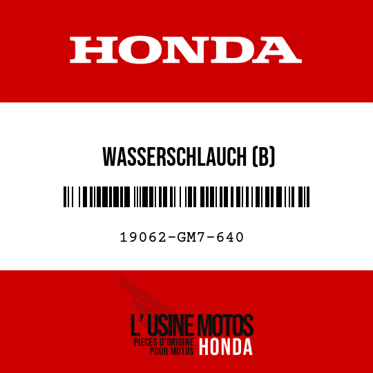 image de 19062-GM7-640 WASSERSCHLAUCH (B)