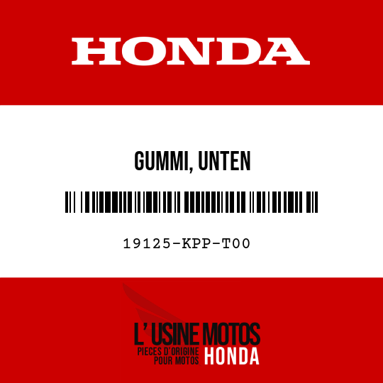 image de 19125-KPP-T00 GUMMI, UNTEN