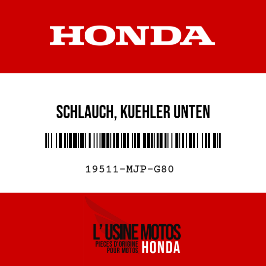 image de 19511-MJP-G80 SCHLAUCH, KUEHLER UNTEN
