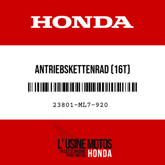 image de 23801-ML7-920 ANTRIEBSKETTENRAD (16T)