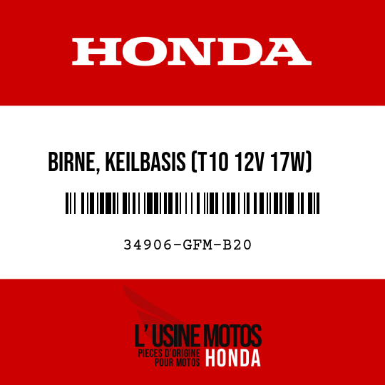 image de 34906-GFM-B20 BIRNE, KEILBASIS (T10 12V 17W)