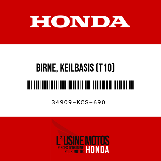 image de 34909-KCS-690 BIRNE, KEILBASIS (T10)