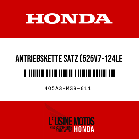 image de 405A3-MS8-611 ANTRIEBSKETTE SATZ (525V7-124LE DAIDO)