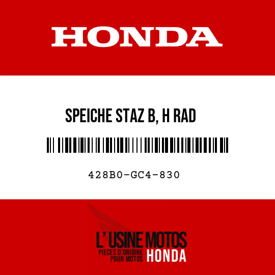 image de 428B0-GC4-830 SPEICHE STAZ B, H RAD