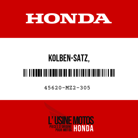 image de 45620-MZ2-305 KOLBEN-SATZ, SEKUNDAER-HAUPTBREMSZYLINDER