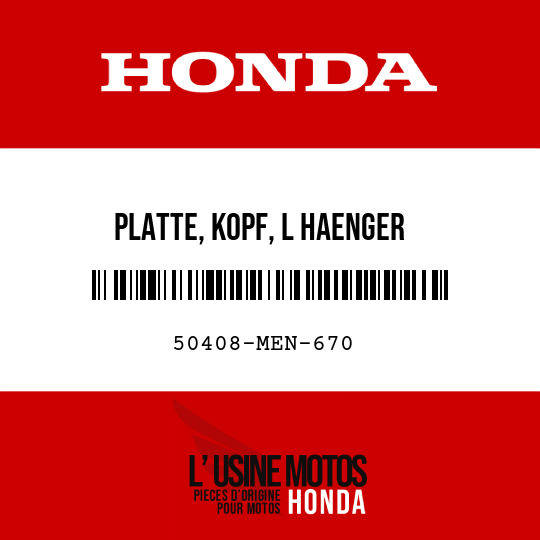 image de 50408-MEN-670 PLATTE, KOPF, L HAENGER