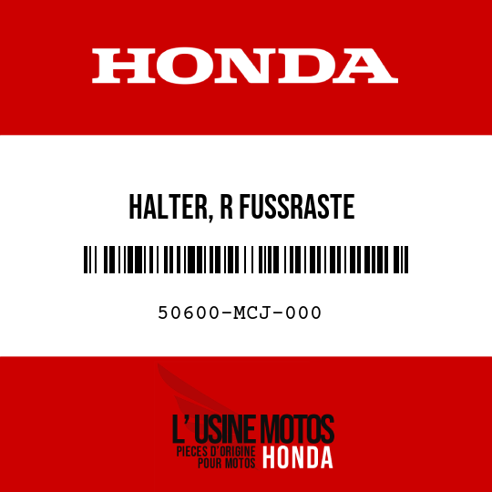 image de 50600-MCJ-000 HALTER, R FUSSRASTE