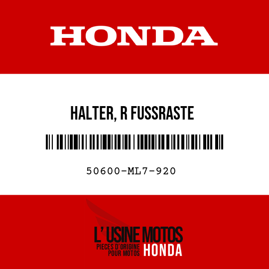 image de 50600-ML7-920 HALTER, R FUSSRASTE