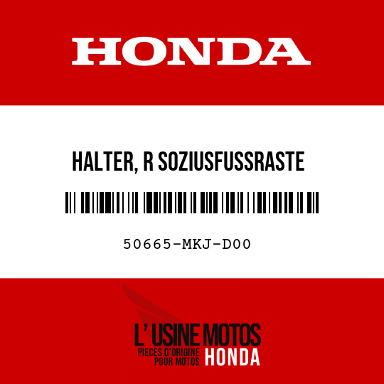 image de 50665-MKJ-D00 HALTER, R SOZIUSFUSSRASTE