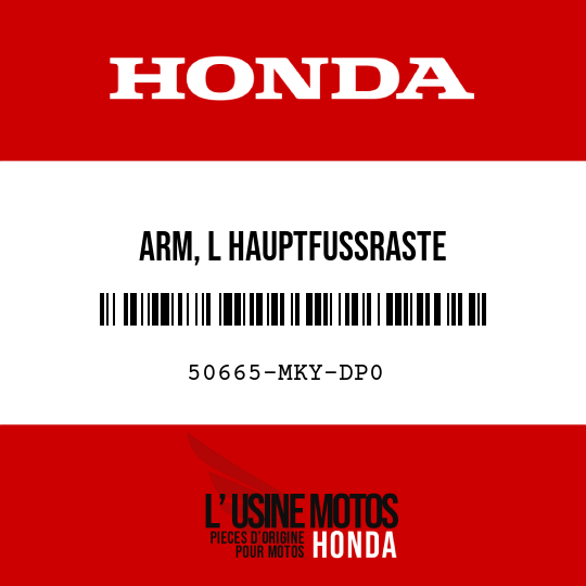 image de 50665-MKY-DP0 ARM, L HAUPTFUSSRASTE