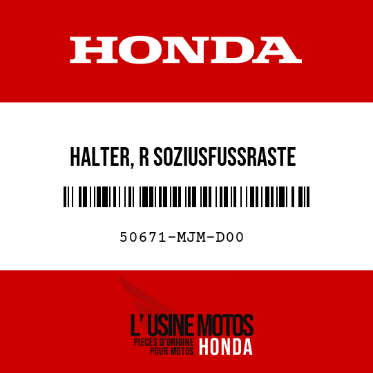 image de 50671-MJM-D00 HALTER, R SOZIUSFUSSRASTE