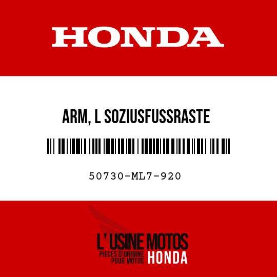 image de 50730-ML7-920 ARM, L SOZIUSFUSSRASTE