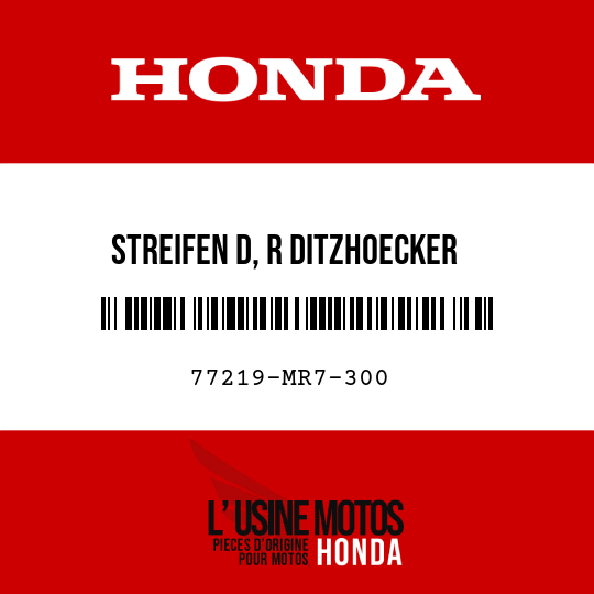 image de 77219-MR7-300 STREIFEN D, R DITZHOECKER
