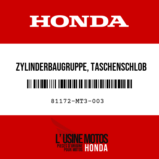 image de 81172-MT3-003 ZYLINDERBAUGRUPPE, TASCHENSCHLOB (B)