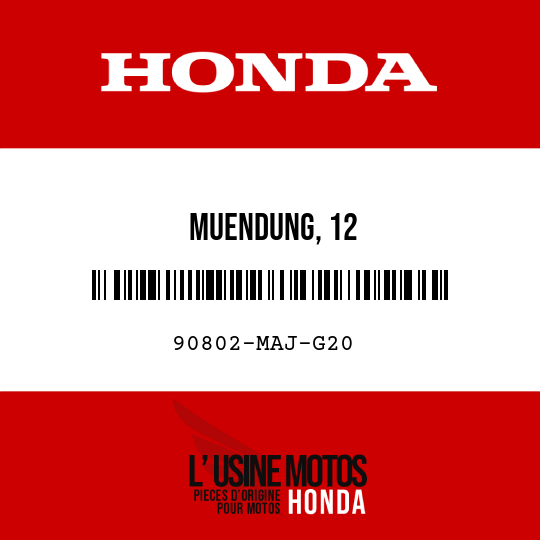 image de 90802-MAJ-G20 MUENDUNG, 12