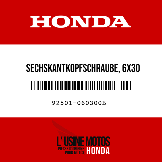 image de 92501-060300B SECHSKANTKOPFSCHRAUBE, 6X30