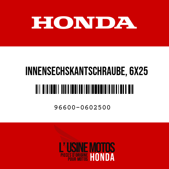 image de 96600-0602500 INNENSECHSKANTSCHRAUBE, 6X25