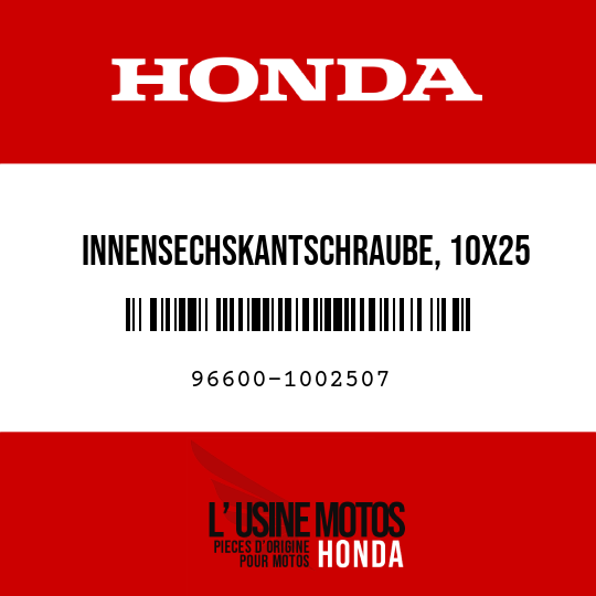 image de 96600-1002507 INNENSECHSKANTSCHRAUBE, 10X25