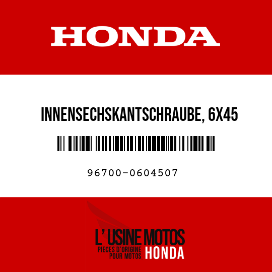 image de 96700-0604507 INNENSECHSKANTSCHRAUBE, 6X45